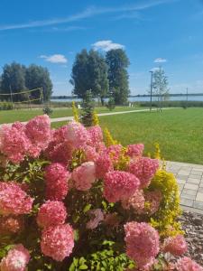 a bush of pink flowers in a park at Zacisze Mazurskie in Ryn