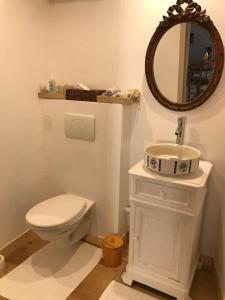 a bathroom with a white toilet and a mirror at Petite Maison médiévale in Parthenay +24 photos