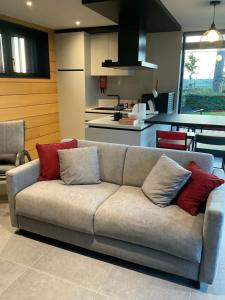 Le Stefanshof في Amblève: أريكة رمادية مع وسائد حمراء في غرفة المعيشة