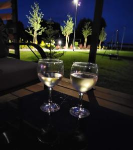 twee glazen witte wijn zittend op een tafel bij Zacisze Mazurskie in Ryn