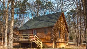 a log cabin in the middle of the woods at Shenandoah Wilderness Traveler in Gordonsville