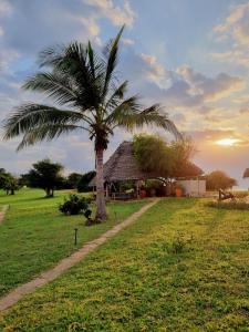 a palm tree in a field with a building at Pangani Cliffs Lodge in Pangani