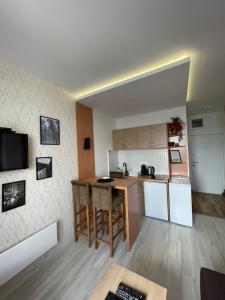 uma cozinha com uma ilha no meio de uma sala em Apartman Pile 2 em Zlatibor