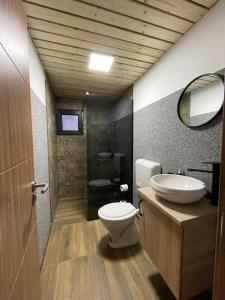 a bathroom with a toilet and a sink and a mirror at Mavrovo Apartment in Mavrovo