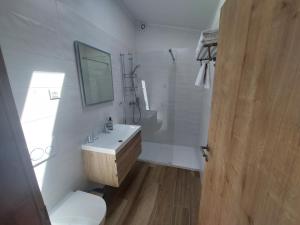 La salle de bains est pourvue d'un lavabo, de toilettes et d'un miroir. dans l'établissement Gostilna in pizzeria Pri Brajdi, à Komen