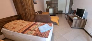 un soggiorno con letto e TV di Family apartment "Sunny House" a Nesebar