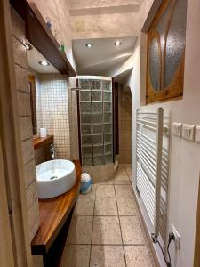 a bathroom with a sink and a shower at Lumières à Collioure in Collioure