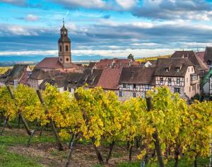 une vieille ville avec une église et des arbres dans l'établissement Gite "le piémont des Vosges ", à Stotzheim