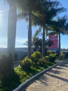 una fila di palme in un parco con marciapiede di Passione Criciúma - Adult Only a Criciúma