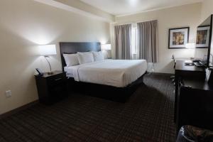 a hotel room with a bed and a window at Cobblestone Hotel & Suites-Sheldon in Sheldon