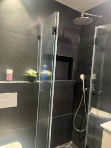 eine Dusche mit Glastür im Bad in der Unterkunft studio mirel 4 in Tel Aviv
