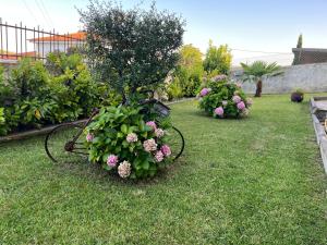 a garden with a bench with flowers in the grass at Alojamento, Chelas Rural AL in Mirandela