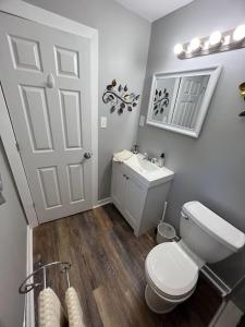 uma casa de banho com um WC branco e um lavatório. em Charming and Happy Walled Lake MI Cottage em Novi