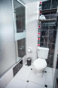 a bathroom with a toilet and a shower at Hotel Balcones Plaza in Cajamarca