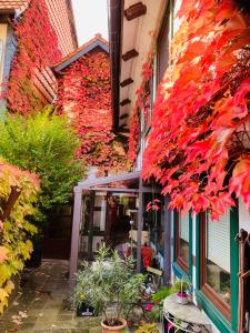 un edificio con hojas rojas a un lado. en Ferienwohnung „Familie Mehle“, en Wernigerode