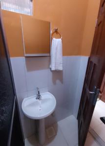 a bathroom with a white sink and a mirror at Caju Hostel in Alter do Chao