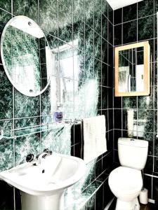 ein Badezimmer mit einem Waschbecken, einem WC und einem Spiegel in der Unterkunft Cosy bright home in Murrayfield in Edinburgh