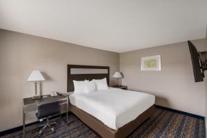 Habitación de hotel con cama y escritorio con ordenador en Americas Best Value Inn Farmington, en Farmington