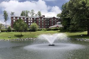 einen Brunnen in einem Teich vor einem Gebäude in der Unterkunft Homewood Suites Williamsburg in Williamsburg