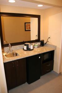 a kitchen with a sink and a counter with a mirror at Hampton Inn Turnersville in Blackwood