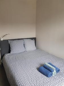 Una cama con dos almohadas azules encima. en Appartement Liza 2 pièces Vue Mer à Cabourg, en Cabourg