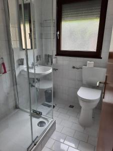 a bathroom with a shower and a toilet and a sink at Casa Luna in Donnerskirchen