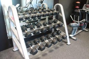 a rack of dumbbells in a gym at Hilton Garden Inn Houston Cypress Station in Westfield