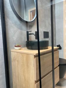 een badkamer met een wastafel en een spiegel bij Chez Roya in Zaventem