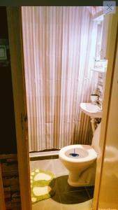 ein Bad mit einem Duschvorhang und einem WC in der Unterkunft Bagins Apartman in Kostolac