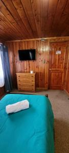 a bedroom with a blue bed with a tv and a wooden wall at Hospedajes Roma in Valdivia