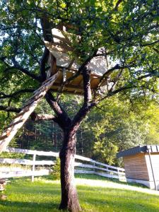 Vrt pred nastanitvijo Camping & Glamping Grintovec