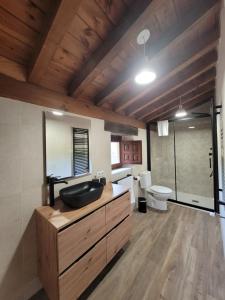 La salle de bains est pourvue d'un lavabo et de toilettes. dans l'établissement Cabaña Pasiega Montes del Pas, 