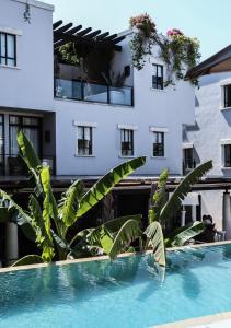 a view of a building from a swimming pool with a building at Hotel Matilda in San Miguel de Allende