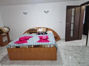 Gallery image of Casa Iuliana in Horezu +12 photos