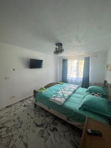 Gallery image of Casa Iuliana in Horezu