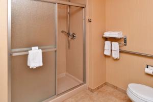 Koupelna v ubytování Hampton Inn Evanston