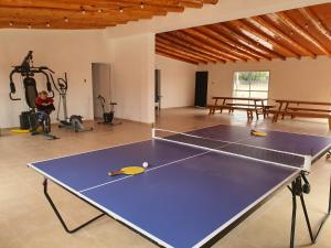 a ping pong table in a room with a ping pong ball at Complejo familia Yedynak in San Rafael
