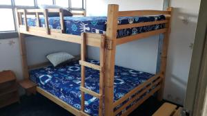 kilka łóżek piętrowych w pokoju w obiekcie Lo de Reyes Monterrico y Sipacate w mieście Las Quechas