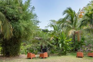 four orange chairs in a garden with palm trees at Vieques Tropical Guest House in Vieques +20 photos