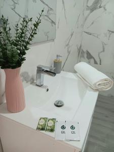 baño con lavabo blanco y jarrón con planta en Apartamentos Tierra Bobal, en Requena