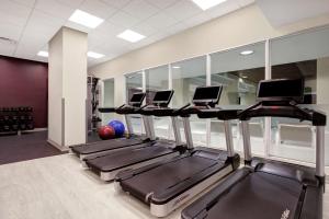 Fitness centrum a/nebo fitness zařízení v ubytování DoubleTree by Hilton Toronto Downtown