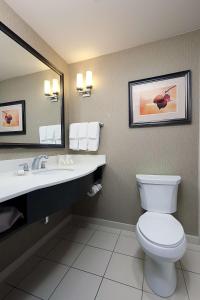 Un baño con inodoro, lavabo y espejo. en Hilton Garden Inn Clifton Park, en Clifton Park 8 fotos más