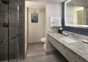 Embassy Suites by Hilton Tucson East的一间浴室