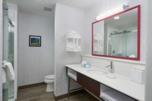 Hampton Inn Burley的一间浴室
