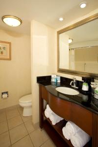 ein Badezimmer mit einem Waschbecken, einem WC und einem Spiegel in der Unterkunft Hampton Inn Alexandria in Alexandria