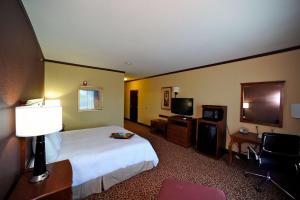 a hotel room with a bed and a television at Hampton Inn Seguin in Seguin