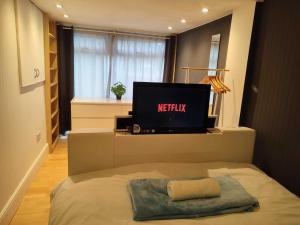 um quarto com uma televisão e uma cama com uma almofada em Serendipity em Manchester