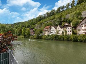 a river in a town with houses and buildings at Cosy apartment with sauna in the Black Forest in Sulz am Neckar