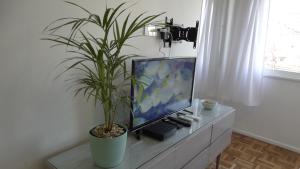 a potted plant sitting on a table next to a television at Monoambiente en pleno centro de Adrogué in Adrogué