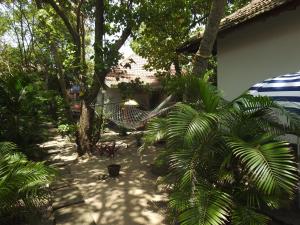 Alleppey Beach Garden外面的花园